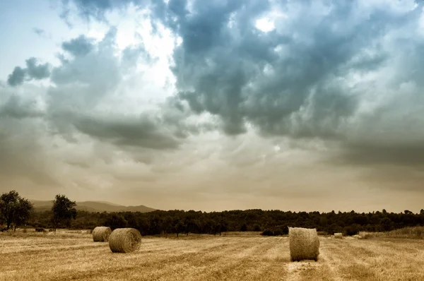 Heuballen auf einem Feld kurz vor einem Sturm — Stockfoto