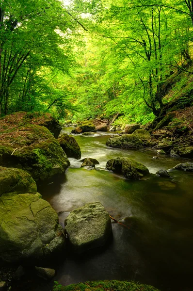 dağ nehir erken Güz