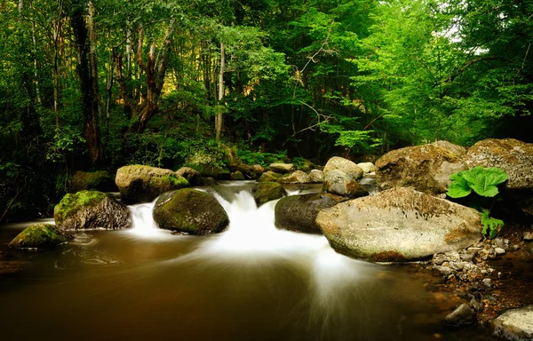 Mountain river in early Autumn — Stock Photo, Image