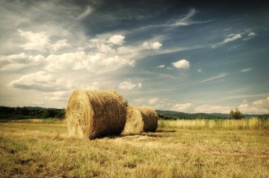 Fırtınadan hemen önce tarlada saman balyaları. Hay Bale çiftçiliği.