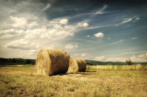 Hay bales in a field just before a storm. Hay Bale farming. — Stock Photo, Image