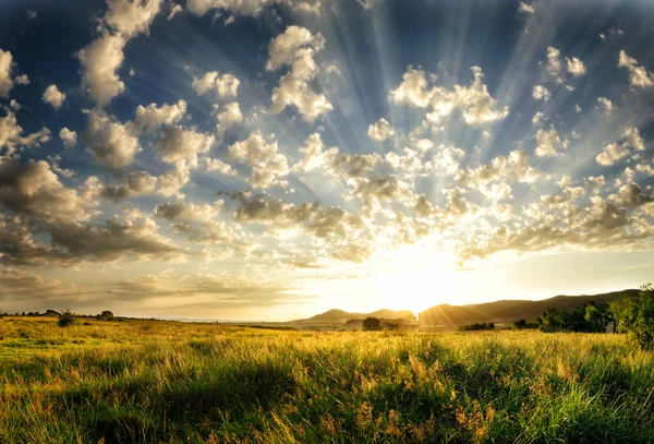 Rayos de luz llenando el cielo en un campo verde de verano . — Foto de Stock