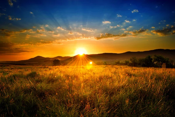 Rayons lumineux remplissant le ciel dans un champ d'été orange. — Photo