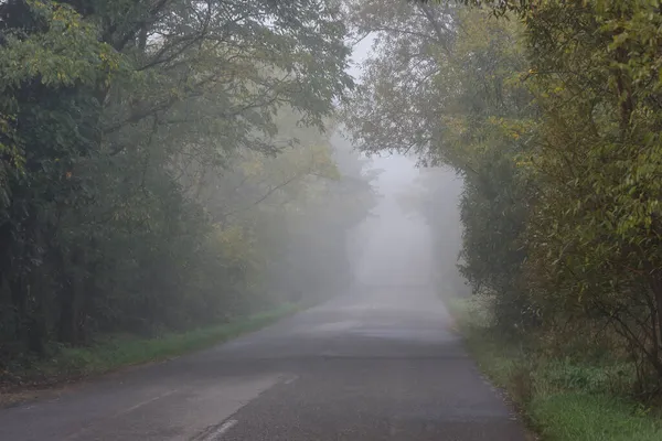 Paisagem Outono Nevoeiro Cobrindo Uma Estrada Asfalto Arborizada — Fotografia de Stock