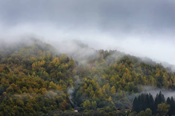 Nebbia Che Copre Una Foresta Autunno Mattina — Foto Stock