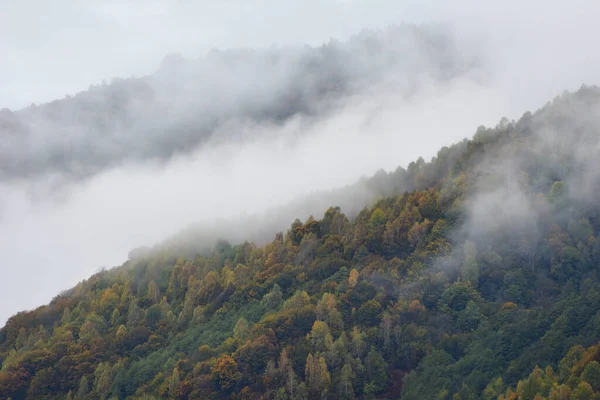 Nebbia Che Copre Una Foresta Autunno Mattina — Foto Stock
