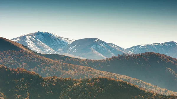 Aerial View Mountain Forest Autumn — Stockfoto