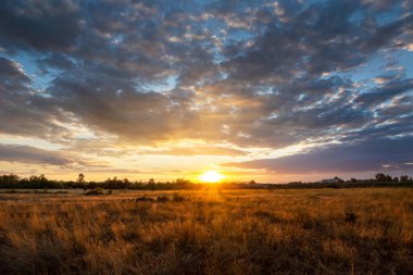Renkli bulutlar ve güneş ışınlarıyla görkemli yaz günbatımı