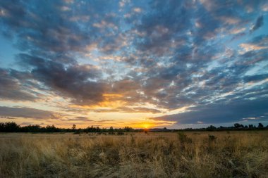 Renkli bulutlar ve güneş ışınlarıyla görkemli yaz günbatımı