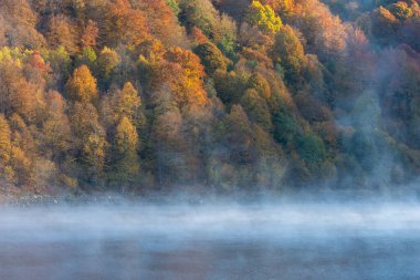 Beautiful autumn forest in the morning, fog over lake