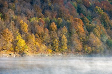 Beautiful autumn forest in the morning, fog over lake