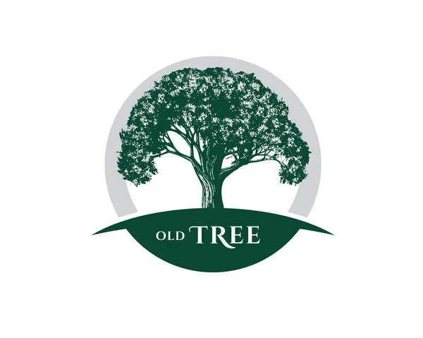 Klasik Old Oak Akçaağaç logosu tasarımı 