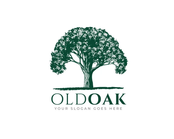  Klasik Old Oak Akçaağaç logosu tasarımı 