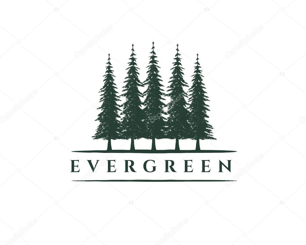 Rustic Retro Vintage Hemlock, Evergreen, Pines, Spruce, Cedar trees logo design