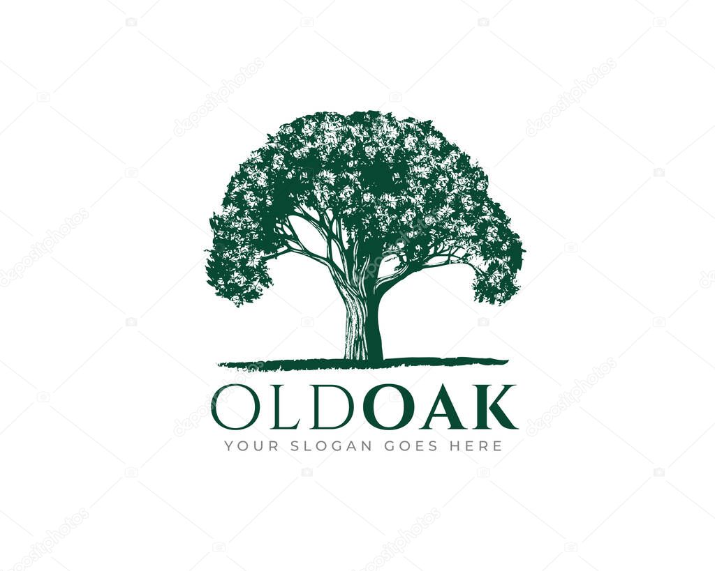  Vintage Old Oak Maple Tree logo design 