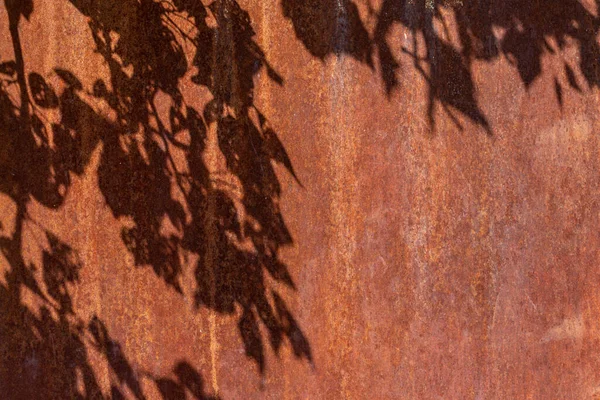 Makrofragment Der Dunkel Abgenutzten Rostigen Metallwandstruktur Mit Blattschatten Grunge Hintergrund — Stockfoto