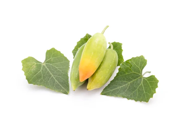 Young Green Fruit Leaf Ivy Gourd Isolated White Background — ストック写真