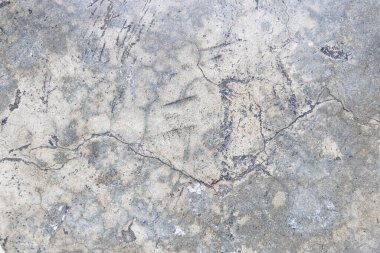 Ahşap Doku Arkaplanı. Parlak Ahşap ve Boş Boşluk Kopyalama Boşluk Duvar Kağıdı.