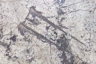 Ahşap Doku Arkaplanı. Parlak Ahşap ve Boş Boşluk Kopyalama Boşluk Duvar Kağıdı.