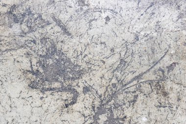 Ahşap Doku Arkaplanı. Parlak Ahşap ve Boş Boşluk Kopyalama Boşluk Duvar Kağıdı.