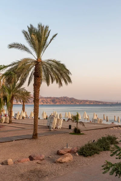 Cena Praia Com Sombras Guarda Sóis Eilat Israel — Fotografia de Stock