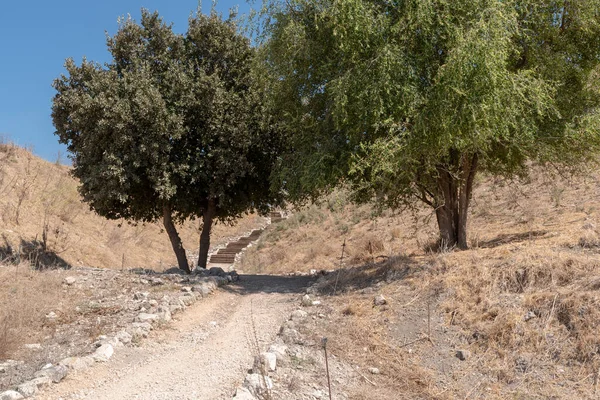 Parc National Tel Megiddo Est Site Archéologique Aussi Connu Sous — Photo
