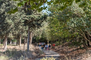 Bet She 'arim, Israel 11-05-2021 Turistleri İsrail' in Kiryat Tivon kentindeki Bet She 'arim Ulusal Parkı' nda rehberli bir tura çıktılar.