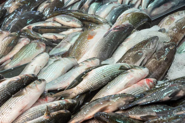 İsrail, Kudüs 'teki Mahane Yehuda Pazarı' nda buzda taze balık.