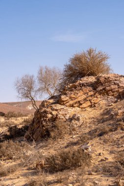Güney İsrail 'deki Negev Çölü' nün güzel manzarası 