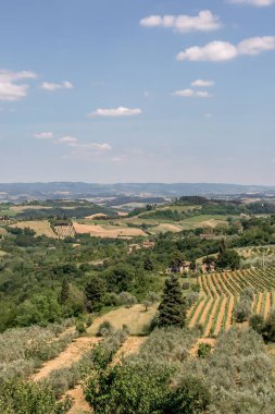 Landscape scenery of the beautiful hills, trees and fields of Tuscany, Italy