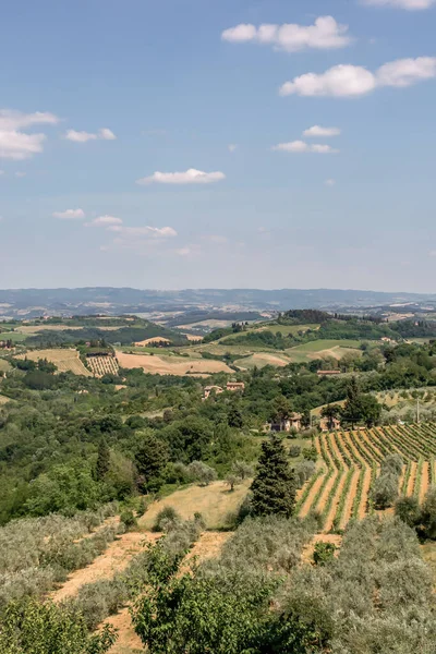 Landscape Scenery Beautiful Hills Trees Fields Tuscany Italy — Fotografia de Stock