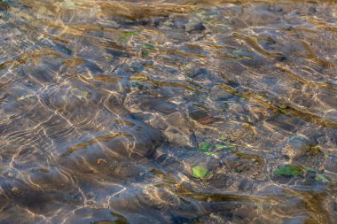 İsrail 'in kuzeyindeki Parod ya da Farod Şelaleleri' nin temiz sularına yakın olmak kış ve baharda yürüyüş için güzel bir yerdir..