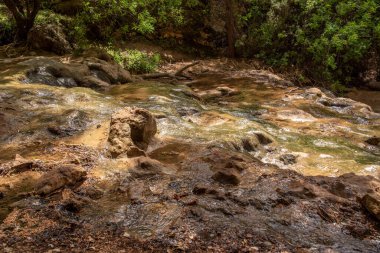 Kuzey İsrail 'deki Parod ya da Farod Şelaleleri kış ve baharda yürüyüş için güzel bir yerdir..