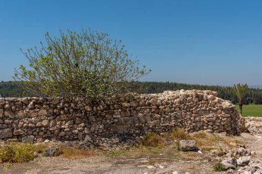 Tel Megiddo Ulusal Parkı 'ndaki harabelerin arasında büyüyen incir ağacı bir arkeolojik alandır. Mahşer olarak da bilinir..