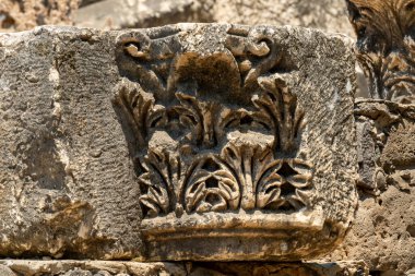 Capernaum 'da, Kfar Nahum' da, Capharnaum 'da ilginç tasarımları olan başkentler oyulmuş.