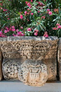 İsrail 'deki Capernaum harabelerinde bir vazonun kapağını kapatın. Diğer isimleri Kfar Nahum veya Capharnaum olsun..