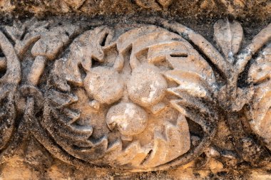 İsrail 'deki Capernaum harabelerinde oyma yapan narların diğer isimleri Kfar Nahum veya Capharnaum..