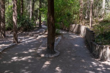 İsrail 'deki Carmel dağ sırasının Ramot Menashe Ormanı' ndaki Nahal Hashofet patikaları.