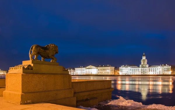Gece St. Petersburg.