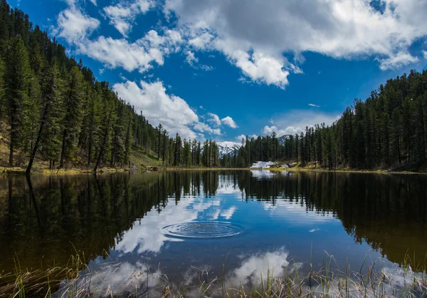 O lago . — Fotografia de Stock