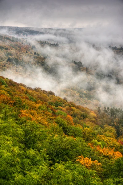 Fog over a valley 8 — Stock Photo, Image