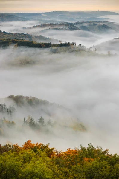 Fog over a valley 4 — Stock Photo, Image