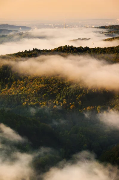 Fog over a valley 2 — Stock Photo, Image