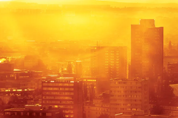 kent ormanı sisli sabah 2