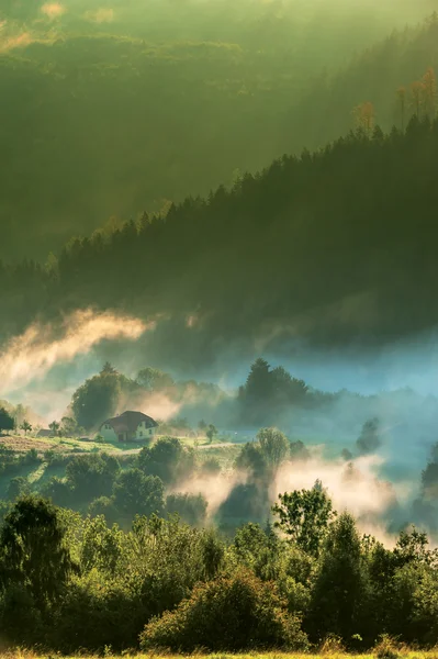 Foggy morning — Stock Photo, Image