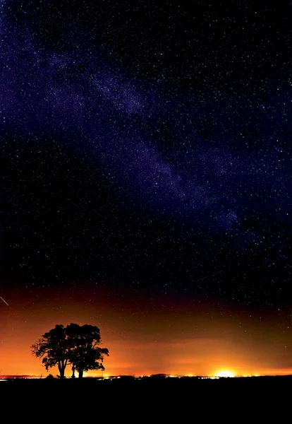 天の川と木 — ストック写真