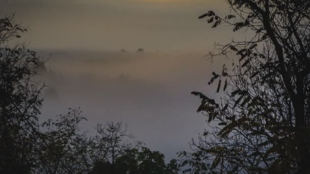 Хронология туманных валунов с деревьями — стоковое видео