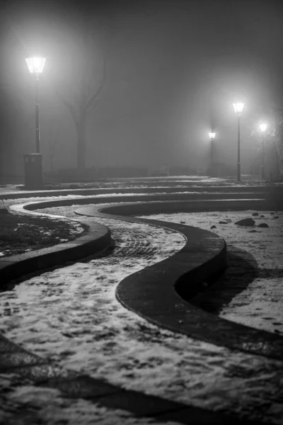 Sisli bir gece Park — Stok fotoğraf