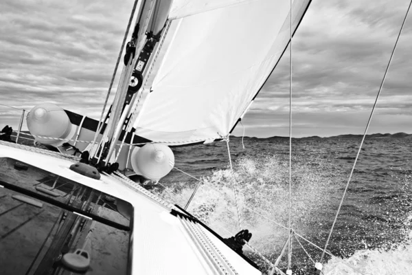 Adriatic sailing — Stock Photo, Image