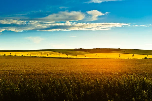 In het land — Stockfoto